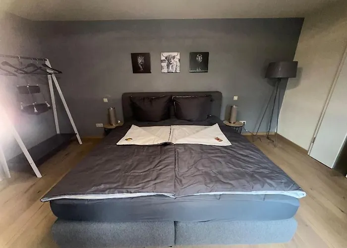 Apartment Palais -mehrgehtnicht-maisonette Grossweitzschen